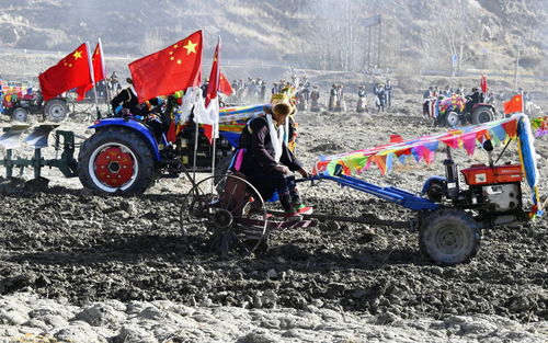新华全媒 古老仪式奏响高原春天赞歌 记西藏 第一块农田 上的春耕典礼